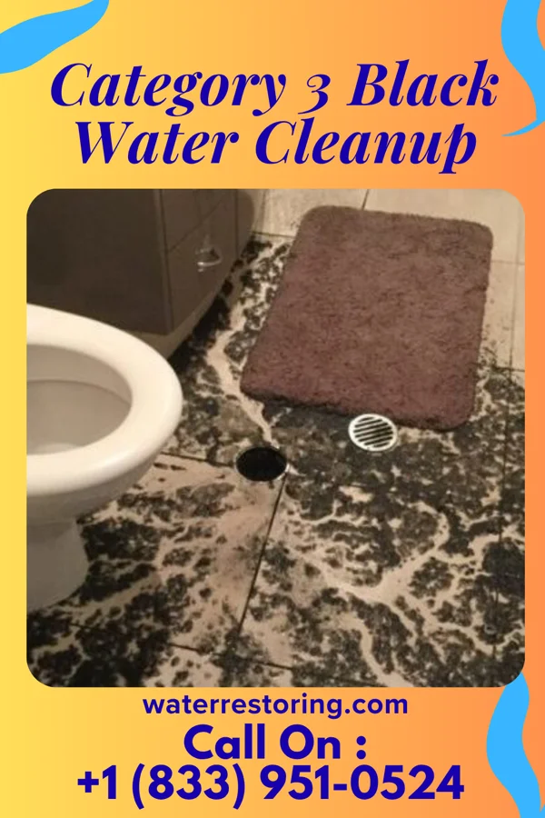 Category 3 Black Water Cleanup in Earling, WV