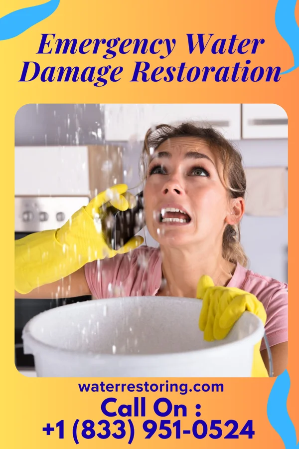 Emergency Water Damage Restoration in Earling, WV