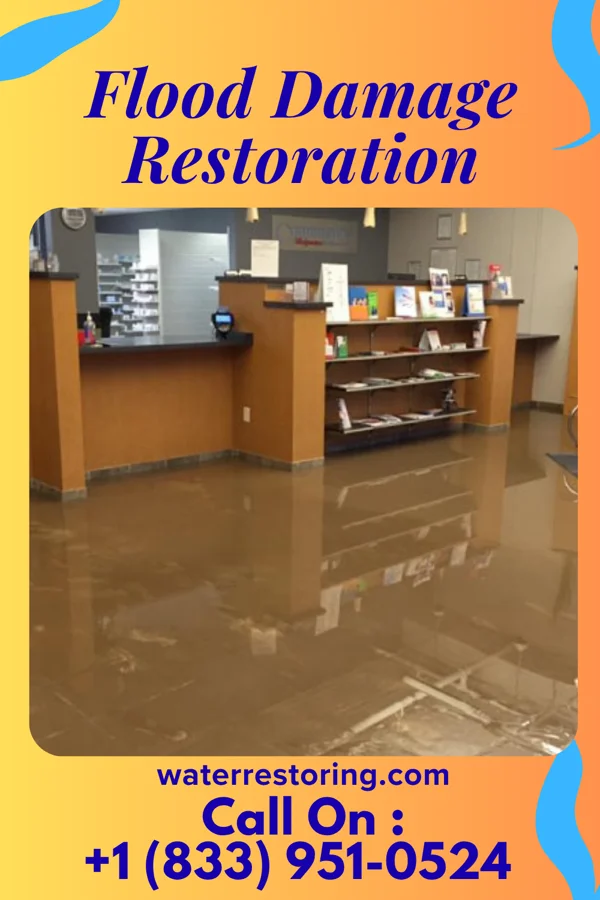 Flood Damage Restoration in Earling, WV