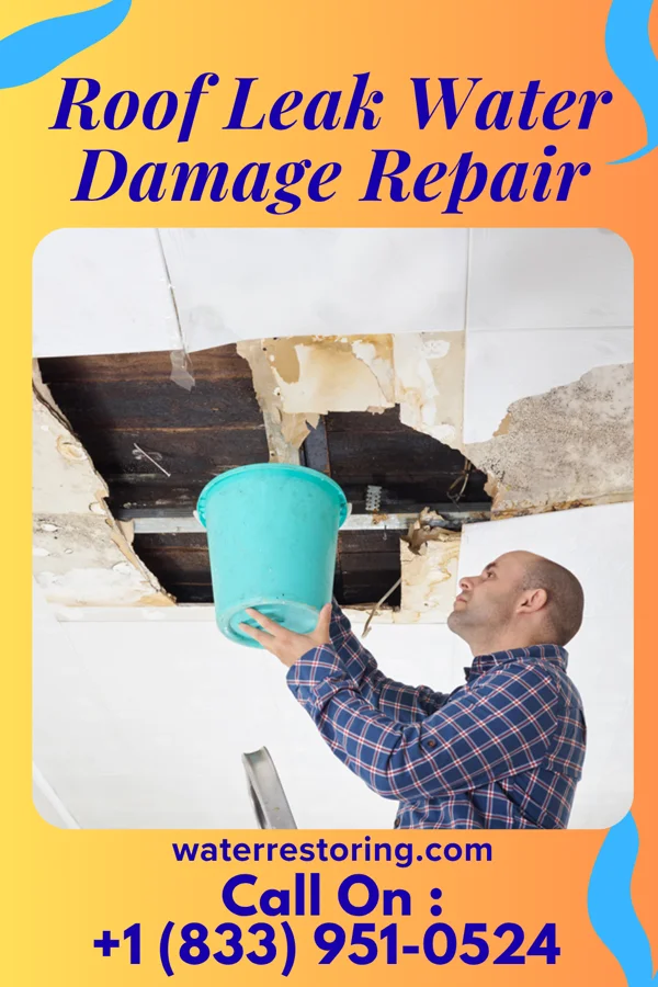 Roof Leak Water Damage Repair in Earling, WV