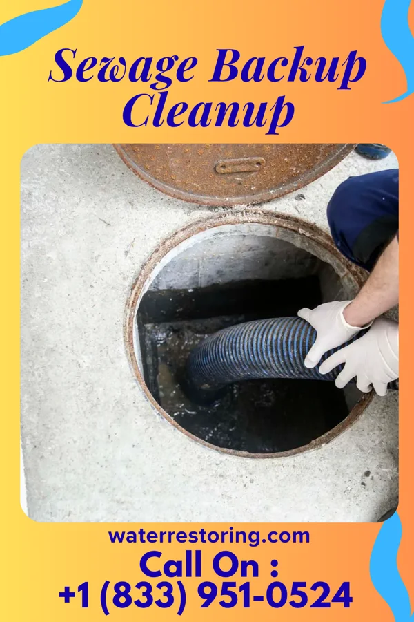 Sewage Backup Cleanup in Earling, WV