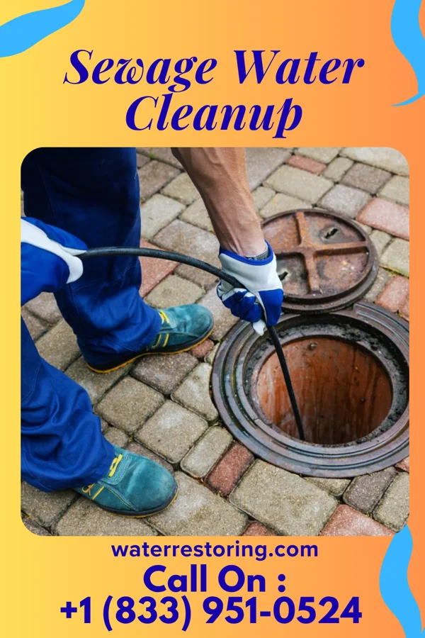 Sewage Water Cleanup in Earling, WV