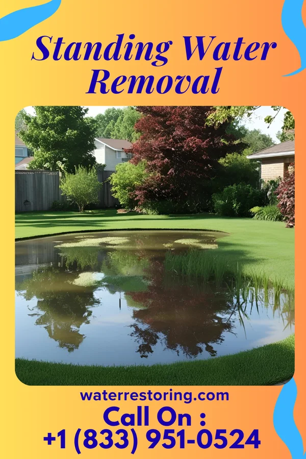 Standing Water Removal in Earling, WV